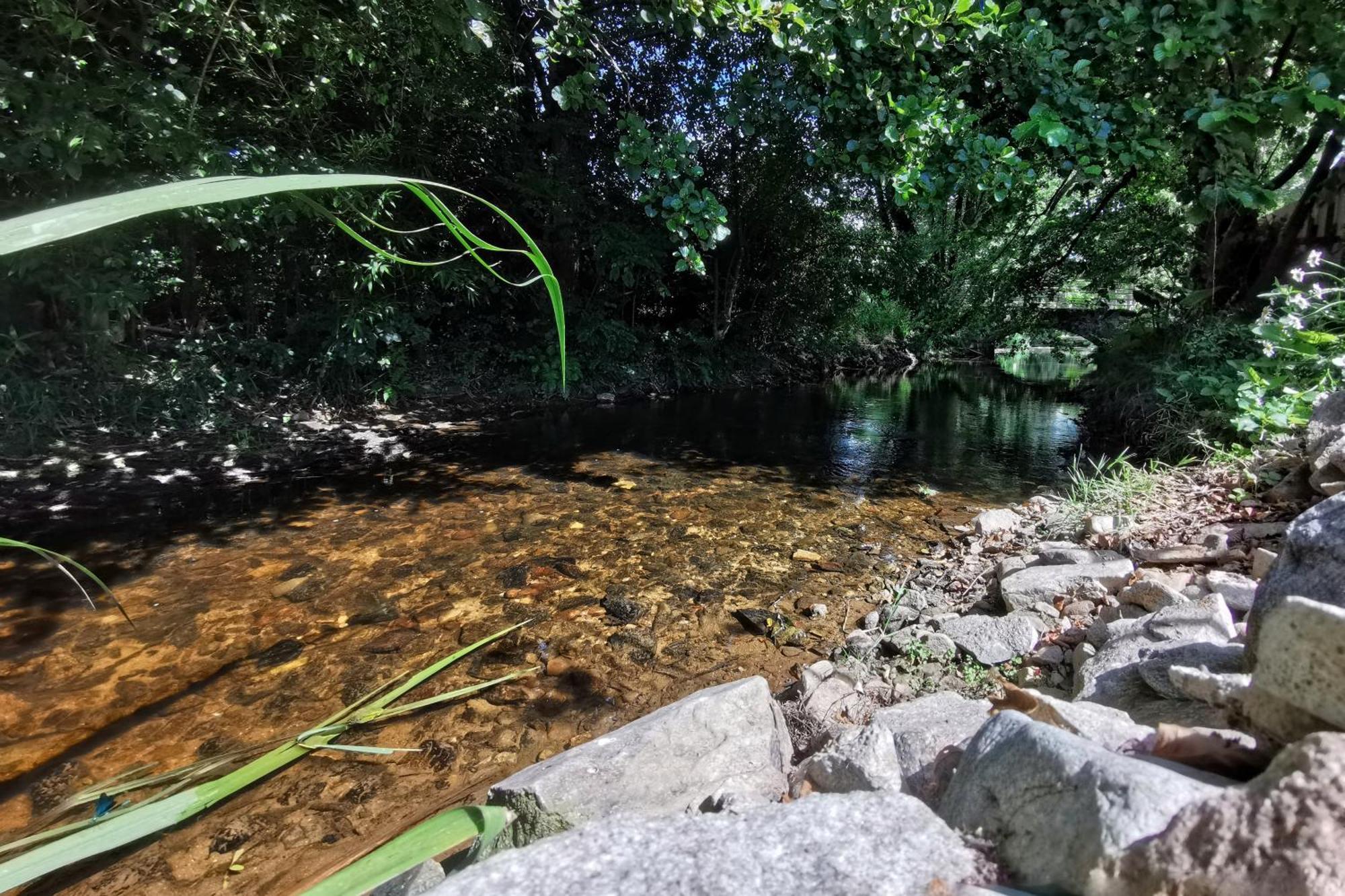Gite Du Moulin Toucan Berneuil  Esterno foto